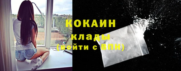 apvp Алзамай