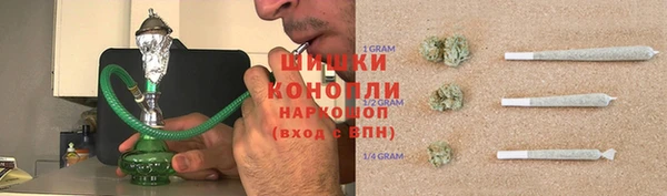 шишки Алексин