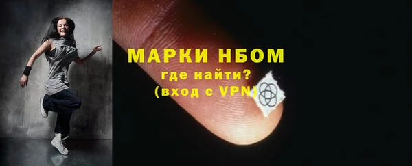 шишки Алексин