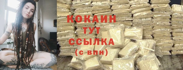 шишки Алексин