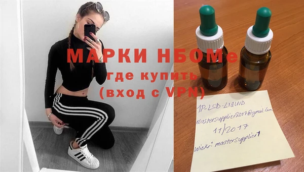 шишки Алексин