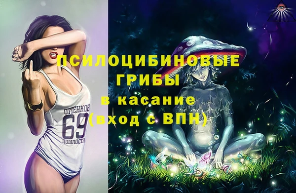 apvp Алзамай