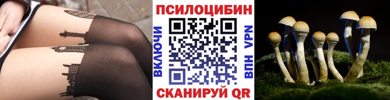 Галлюциногенные грибы Cubensis  Жуковский 