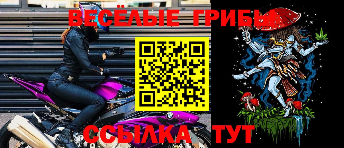 Галлюциногенные грибы прущие грибы  Вход с VPN  что такое   Жуковский  Галлюциногенные грибы MAGIC MUSHROOMS 